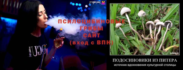 ГАЛЛЮЦИНОГЕННЫЕ ГРИБЫ Аркадак