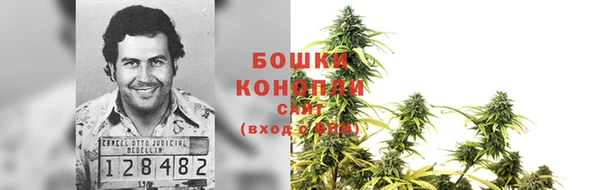 ГАЛЛЮЦИНОГЕННЫЕ ГРИБЫ Аркадак
