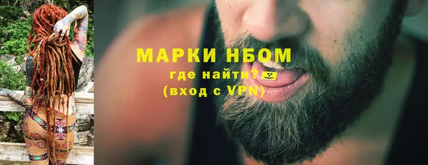 ГАЛЛЮЦИНОГЕННЫЕ ГРИБЫ Аркадак